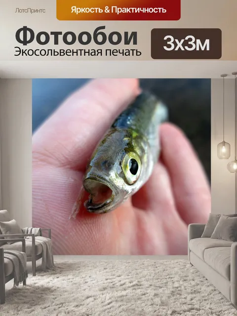 Фотообои Fish