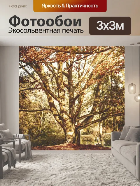 Фотообои Дерево