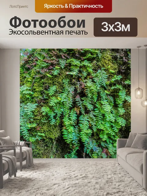 Фотообои Тропический лес в Дои Интанон, Чиангмай