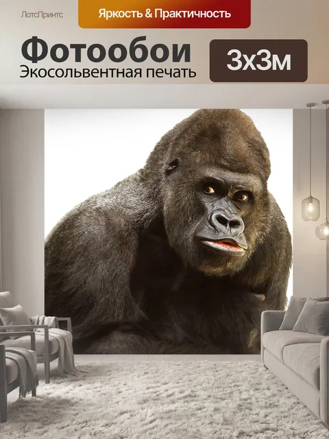 Фотообои Изолированные