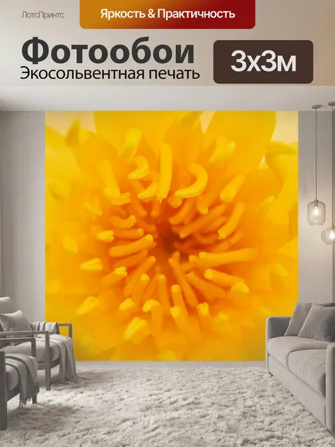 Фотообои Красивый цветок лотоса кувшинки