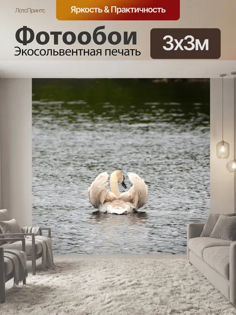 Фотообои Лебедь