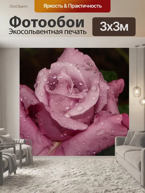 Фотообои Роза