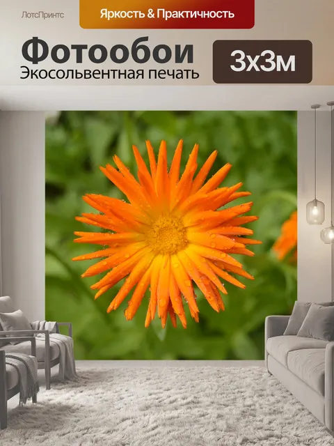 Фотообои Цветок