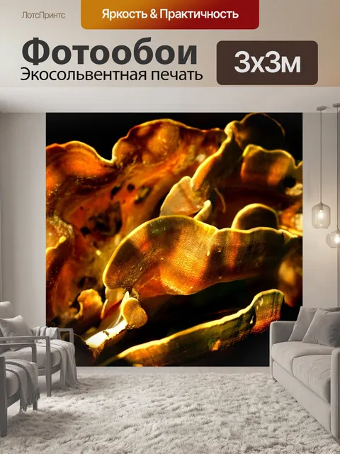 Фотообои Древесные грибы желтые грибы макрос