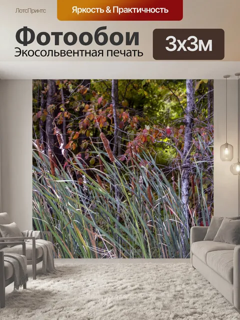 Фотообои Рогоз осенью