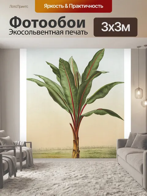 Фотообои Винтажная иллюстрация пальмового дерева