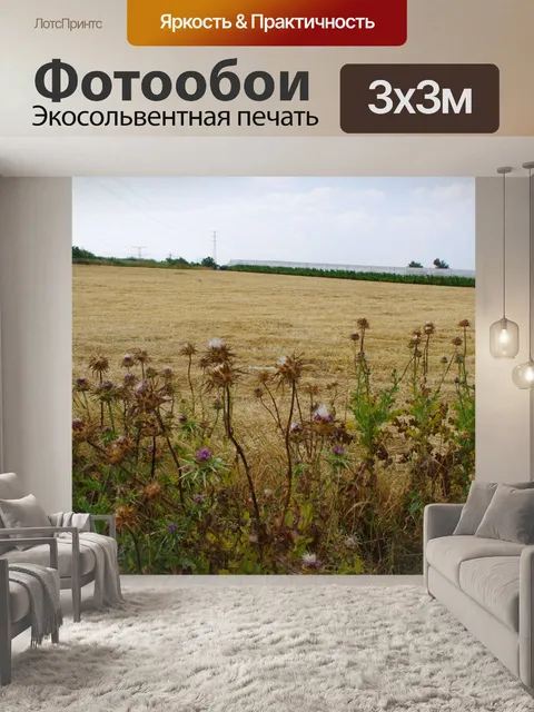 Фотообои Сорняки и поля