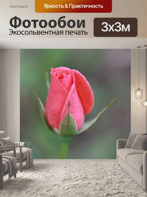 Фотообои Розовые розы Bud