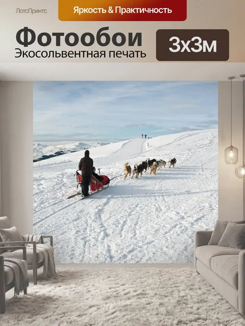 Фотообои Собака
