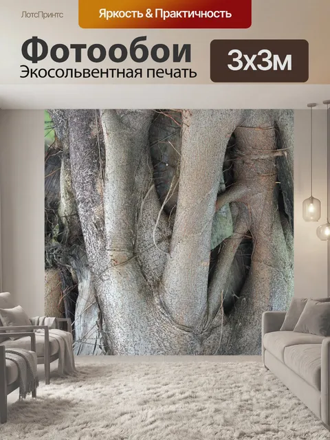 Фотообои Ветви Дерева