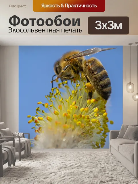 Фотообои Пчела