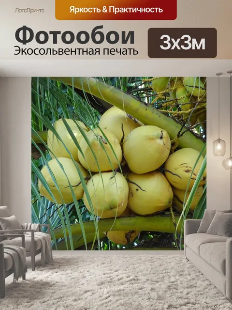 Фотообои Кокосы