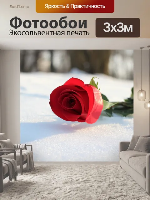 Фотообои Красная роза в снегу