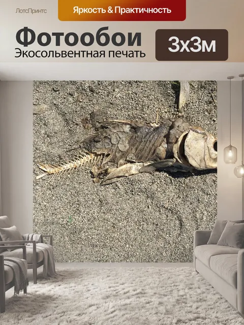 Фотообои Гнилой Тушка
