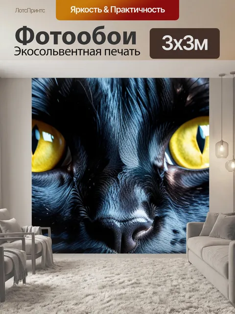 Фотообои с черным котом