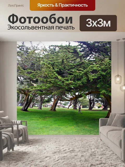 Фотообои Роща trees