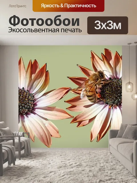 Фотообои Пчелы