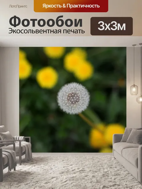 Фотообои Одуванчик