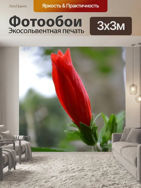 Фотообои красный гибискус