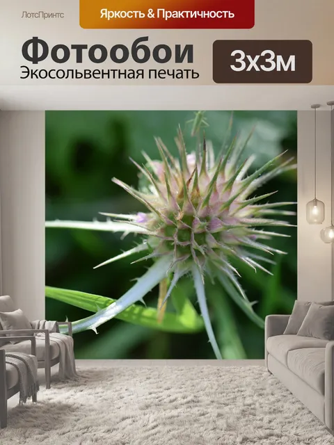 Фотообои Макросъемка