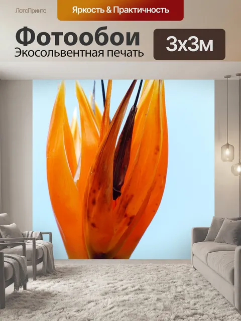 Фотообои Райская птица цветок