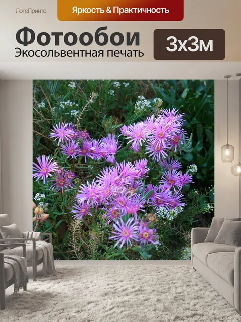 Фотообои розовые vygies в саду