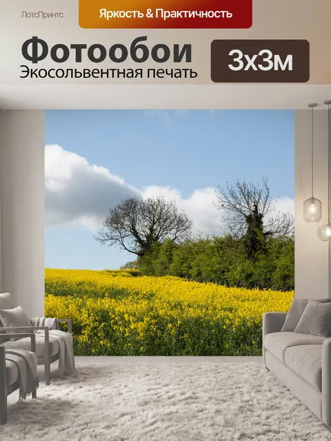 Фотообои Область желтого рапса