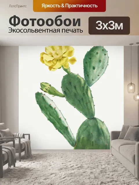 Фотообои Кактус винтаж искусство старый