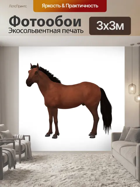 Фотообои домашняя лошадь