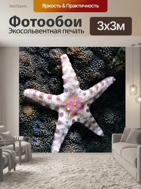 Фотообои Морская звезда