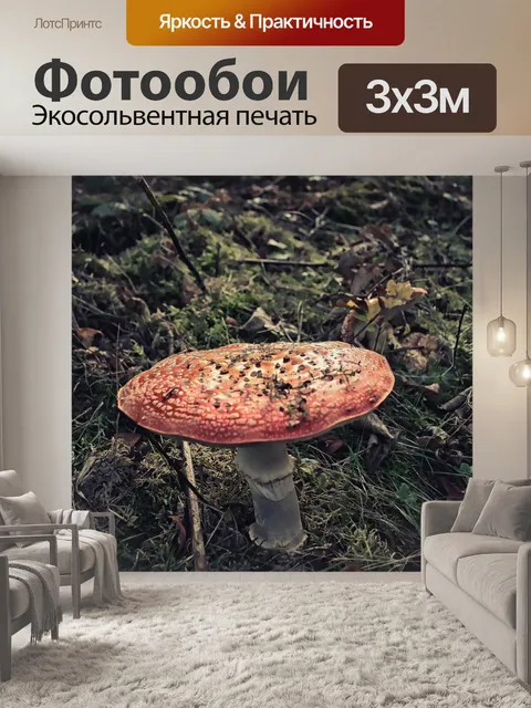 Фотообои Грибок