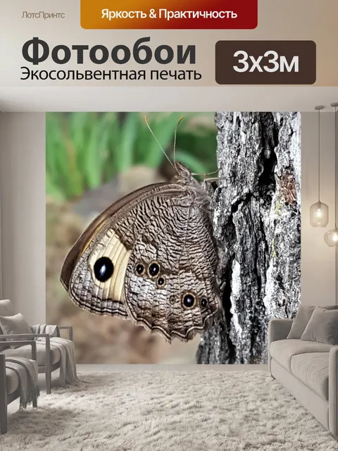 Фотообои Бабочка нимфа обыкновенная