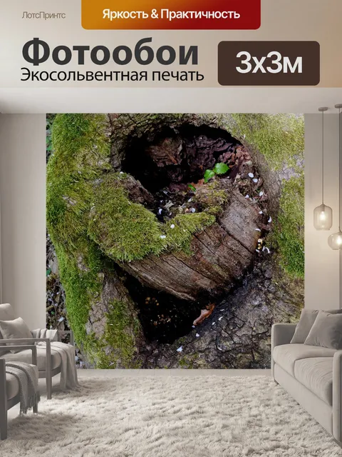 Фотообои Отверстие в дереве