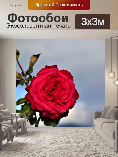 Фотообои Rose