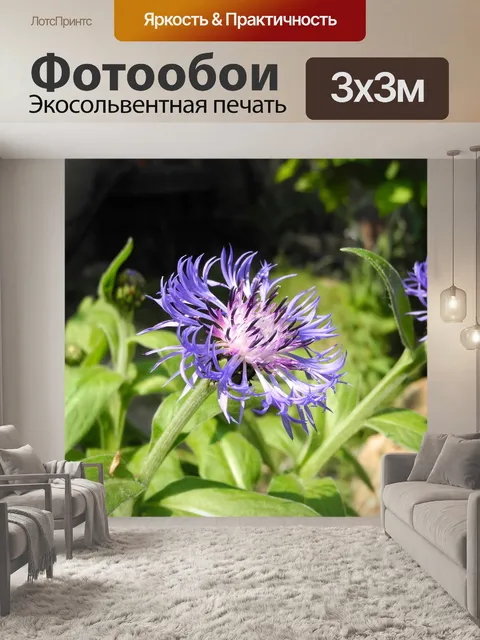 Фотообои Сад