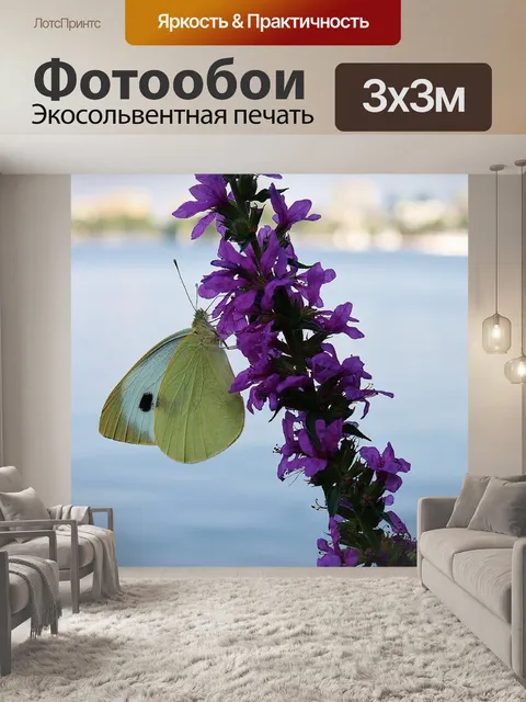 Фотообои Бабочка