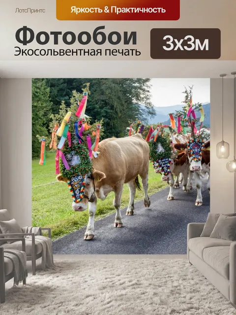 Фотообои Альпийский драйв