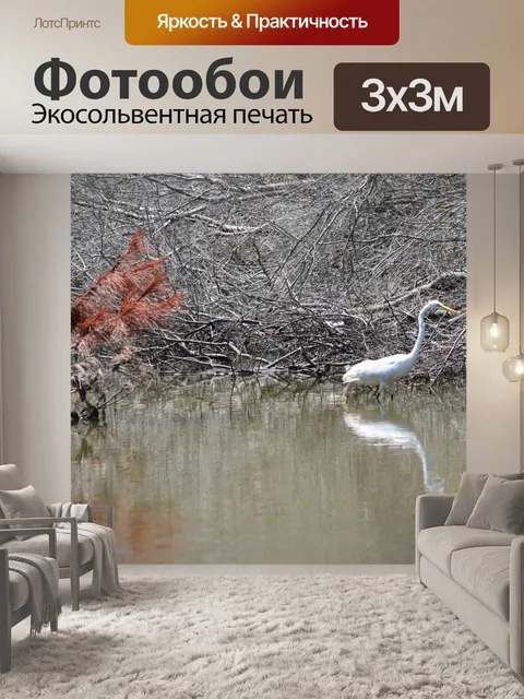 Фотообои Цапля Отражение