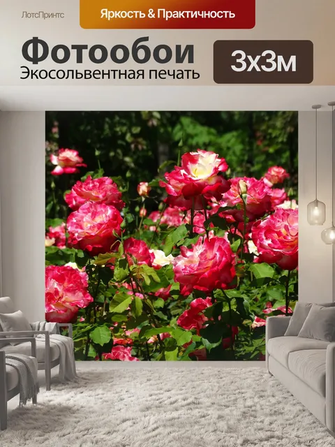 Фотообои Розы