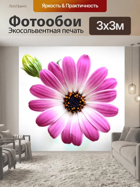 Фотообои Цветок