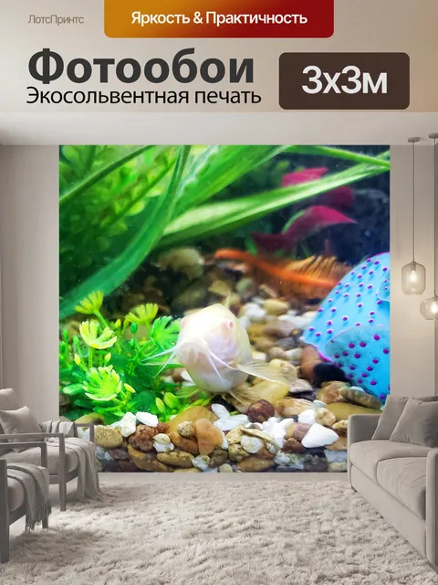 Фотообои сом