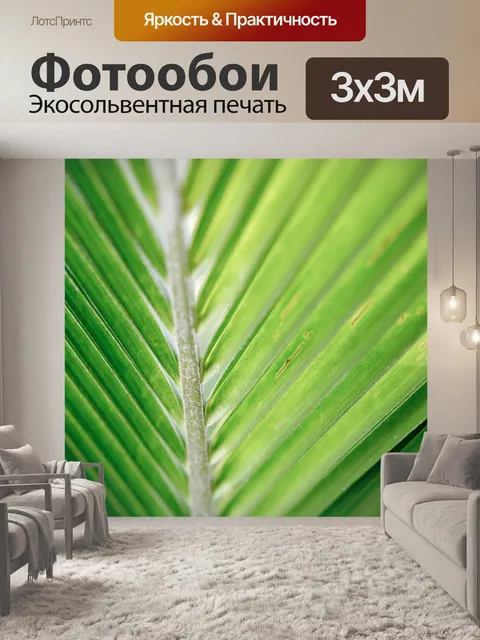 Фотообои Кокосовый лист