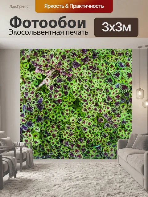 Фотообои Ландшафтный сад, лесной стиль
