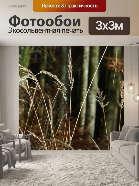 Фотообои Падение