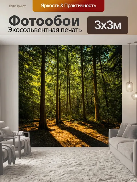 Фотообои лес с загадочными тенями, пробивающимися сквозь деревья