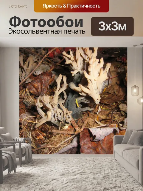 Фотообои Лес