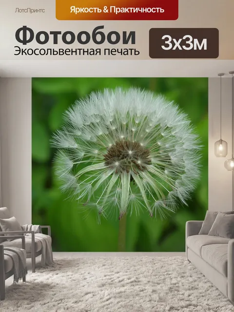 Фотообои Одуванчик