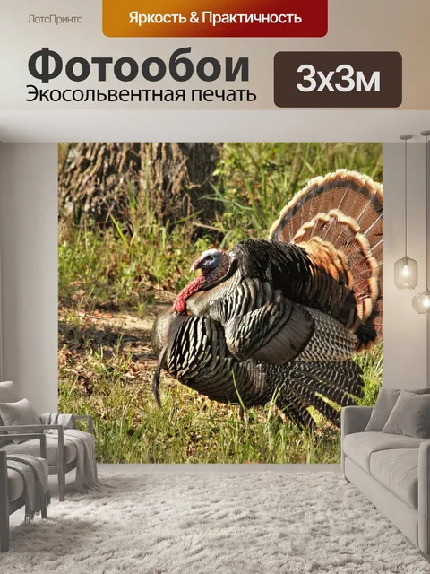 Фотообои Том Турция Крупный план 2