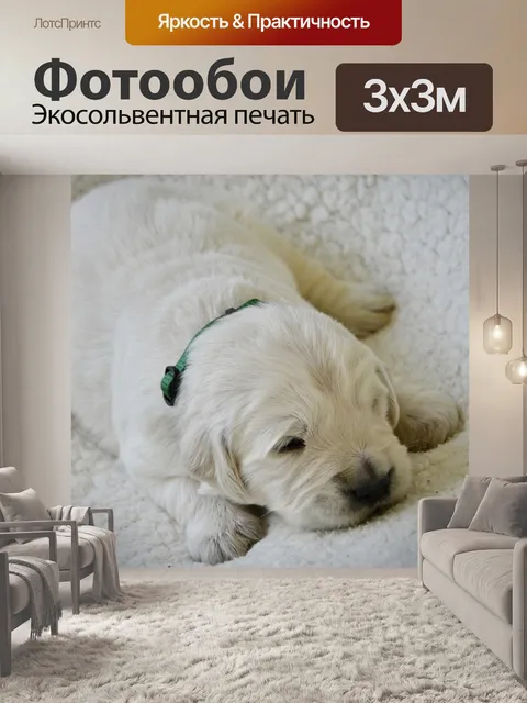 Фотообои Щенок